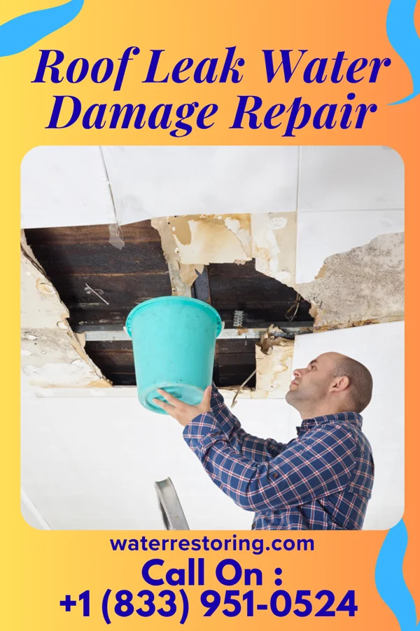 Roof Leak Water Damage Repair in Northboro, IA
