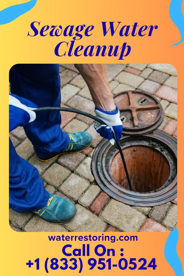 Sewage Water Cleanup in Northboro, IA