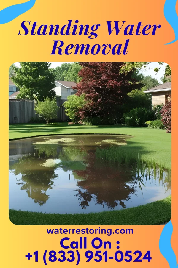 Standing Water Removal in Northboro, IA